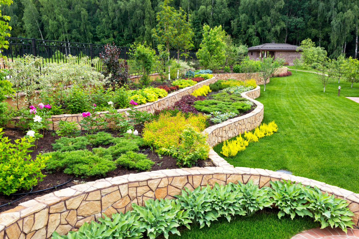 Landscape design and planning