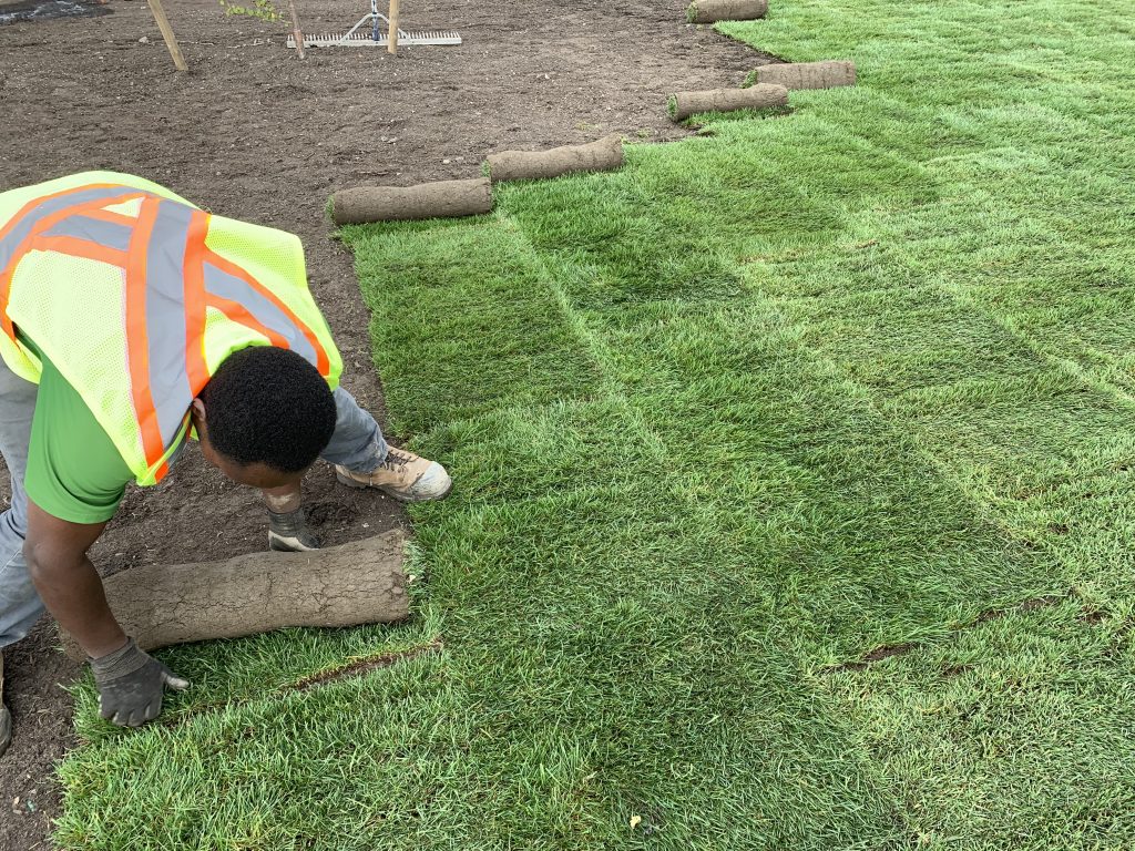 Professional sod and landscape installation